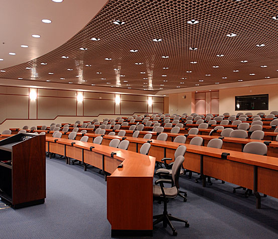 تنظيم المؤتمرات والمهرجانات